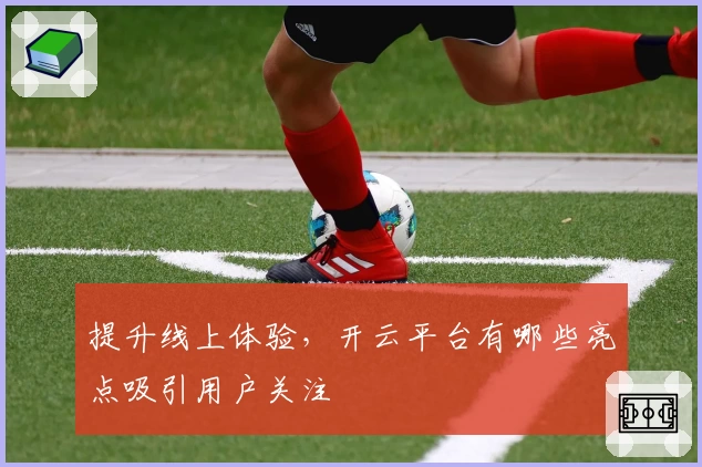 提升线上体验，开云平台有哪些亮点吸引用户关注