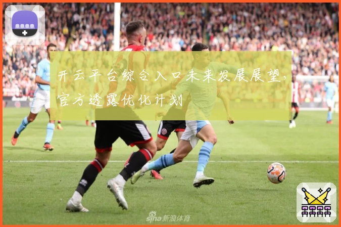 开云平台综合入口未来发展展望，官方透露优化计划