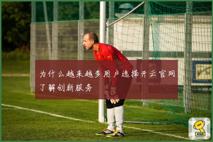 为什么越来越多用户选择开云官网了解创新服务