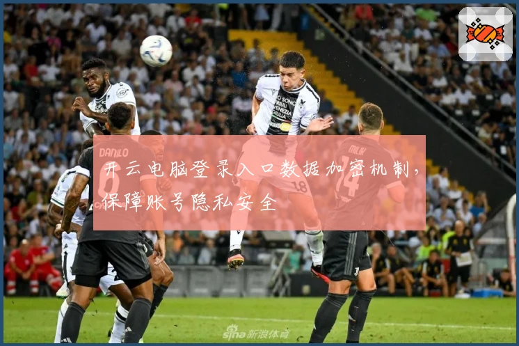开云电脑登录入口数据加密机制，保障账号隐私安全