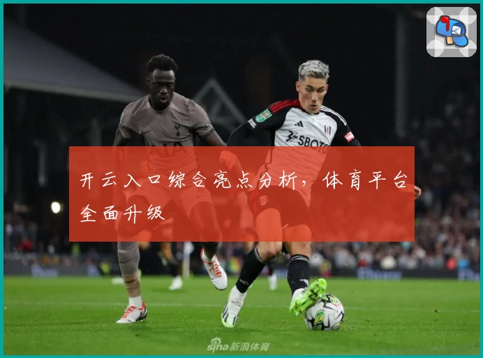 开云入口综合亮点分析，体育平台全面升级