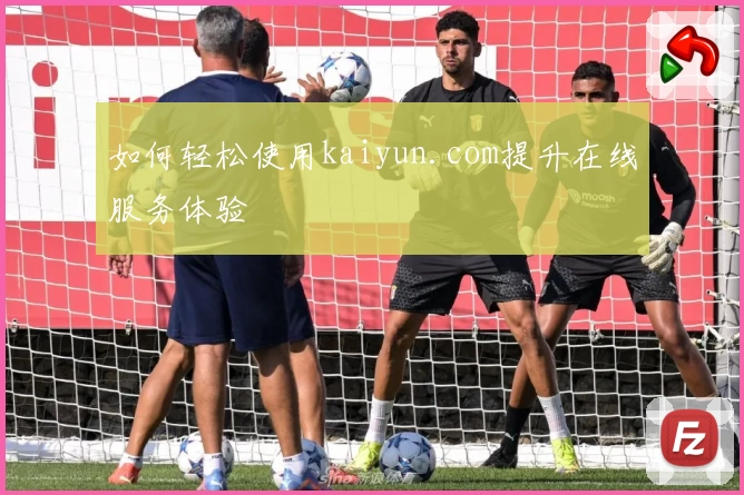 如何轻松使用kaiyun.com提升在线服务体验
